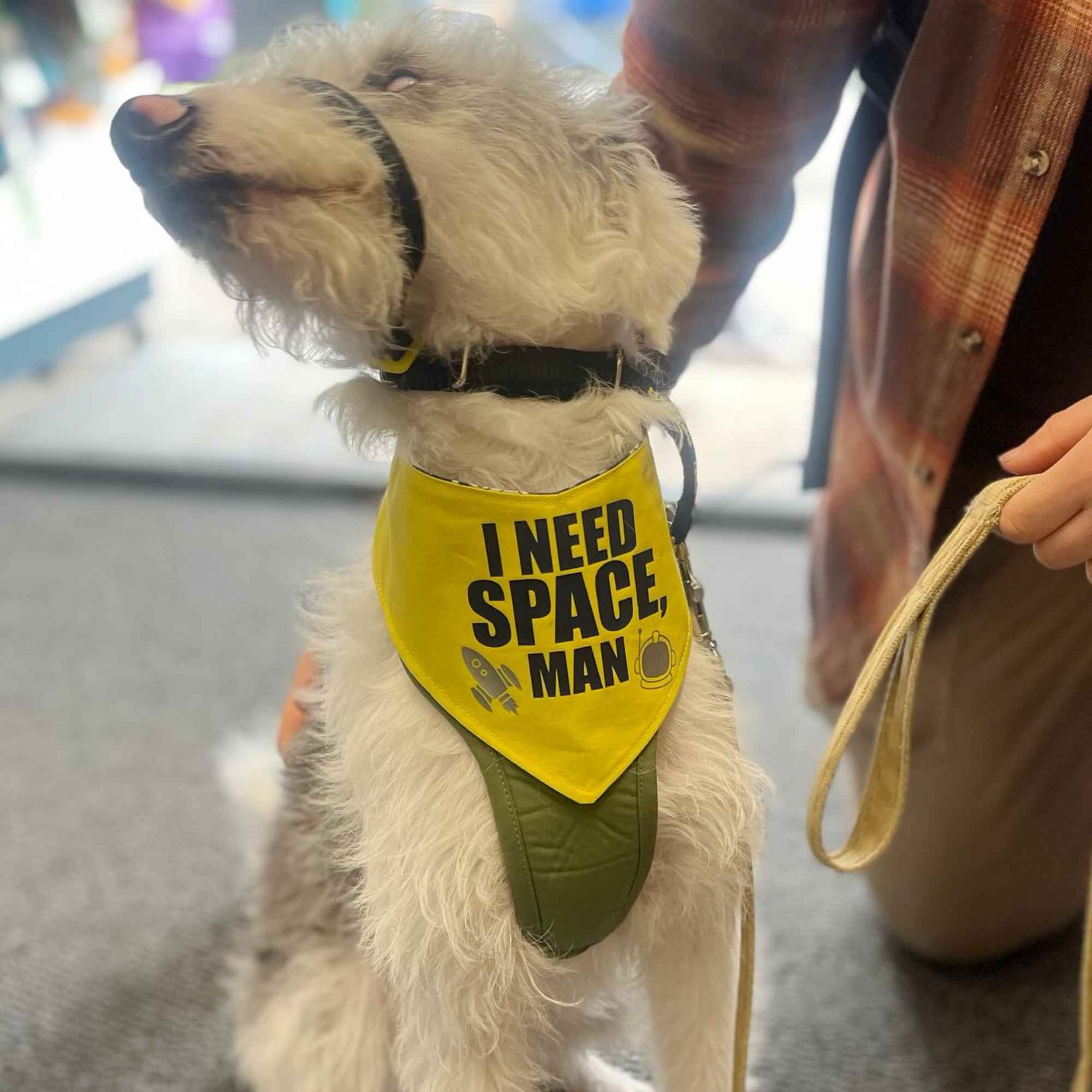 I need space dog bandana new arrivals